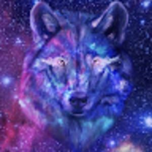 Meet your Posher, The wolf pack